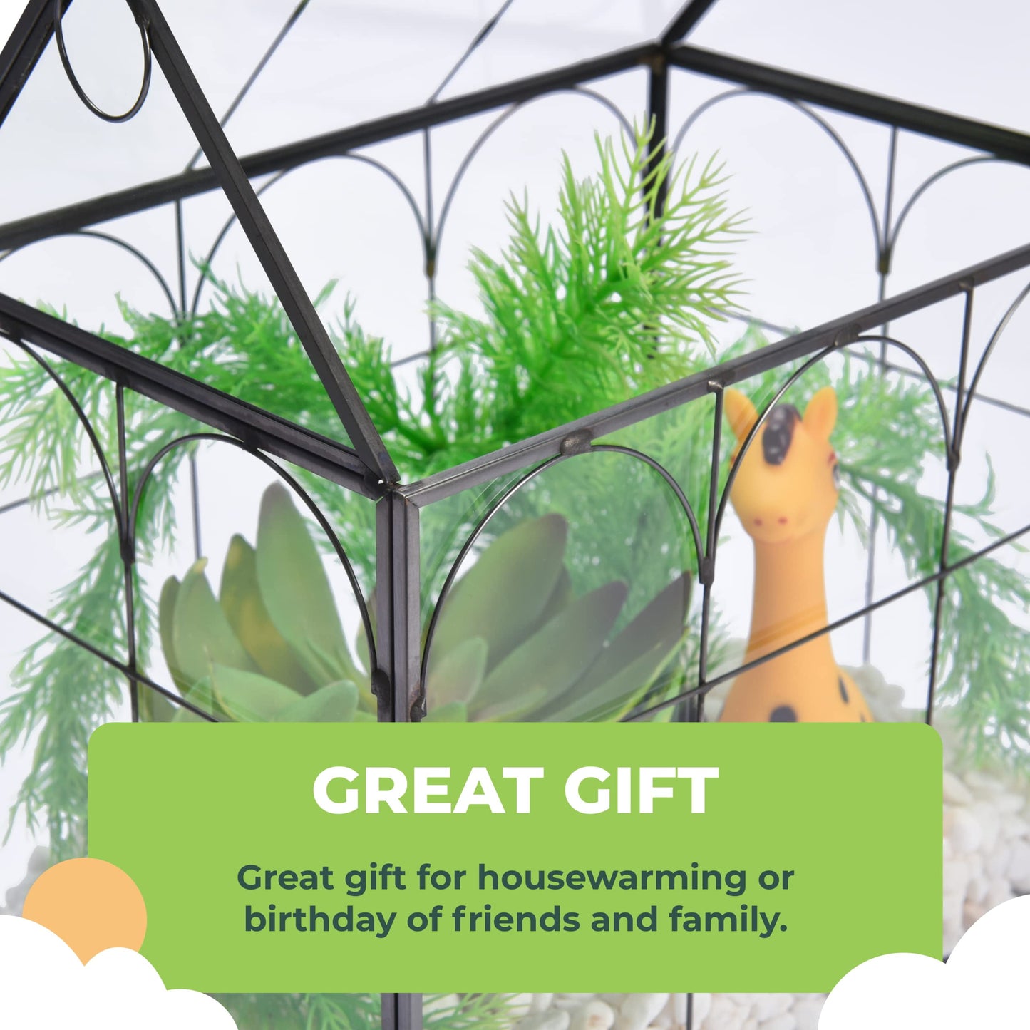 Glass Terrarium with Lid - 9X11X6-Inch Indoor Greenhouse Plant Terrarium Decor Planter Dome - Terrarium Kit Tabletop Greenhouse - Plant Accessories Ideal Gift for Nature Lovers