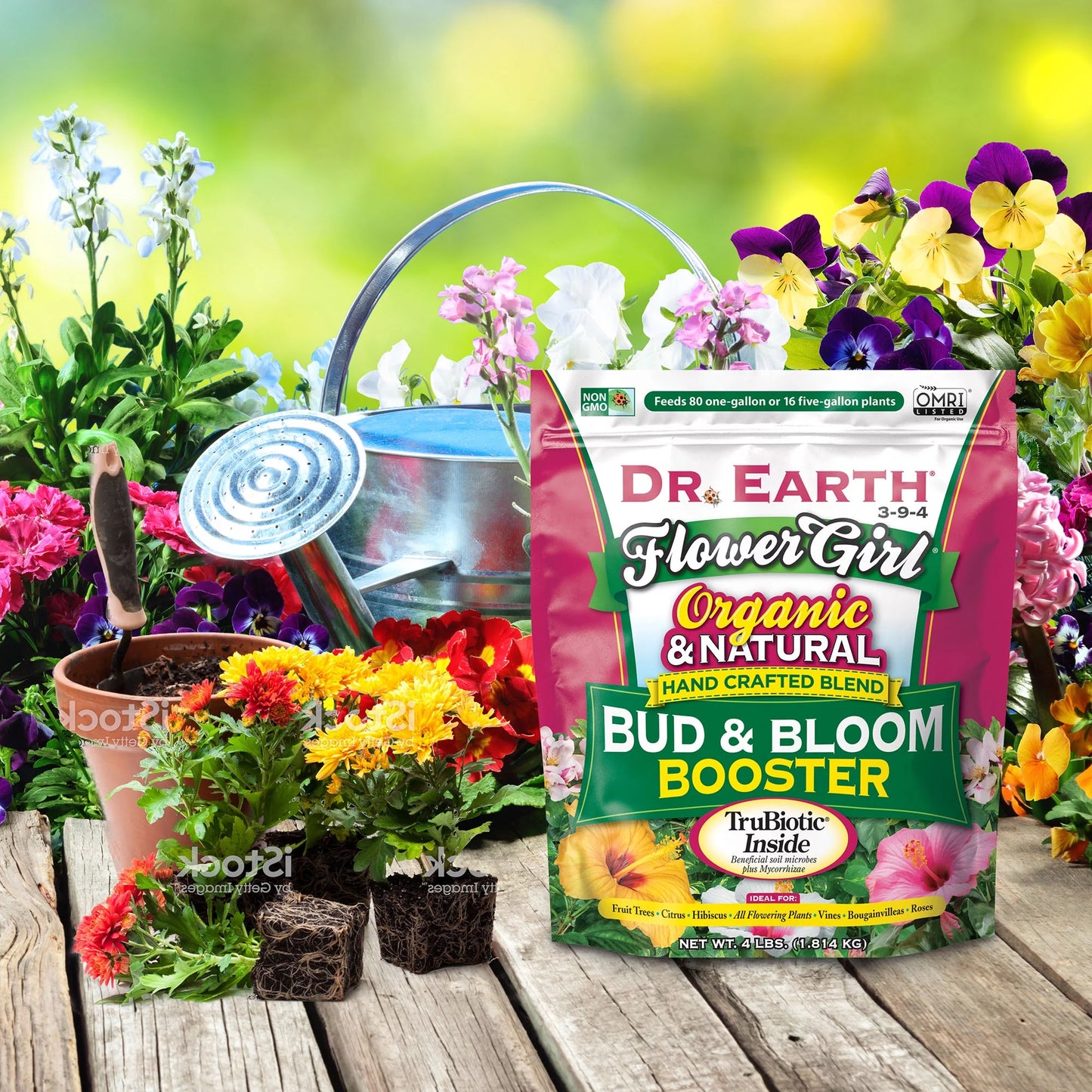 Flower Girl Premium Bud & Bloom Booster Plant Food, 3-9-4 Fertilizer, 4 Lb.