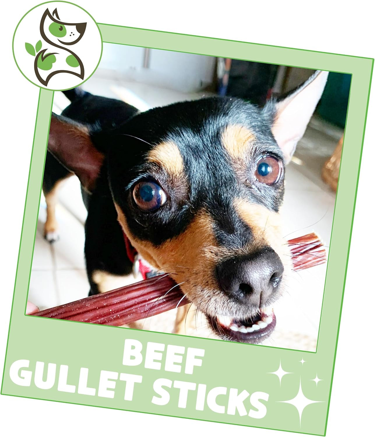 Beef Gullet Sticks for Dogs 5-6" (1Lb) - Natural Beef Jerky Stick Dog Chew Treats - Rawhide Free