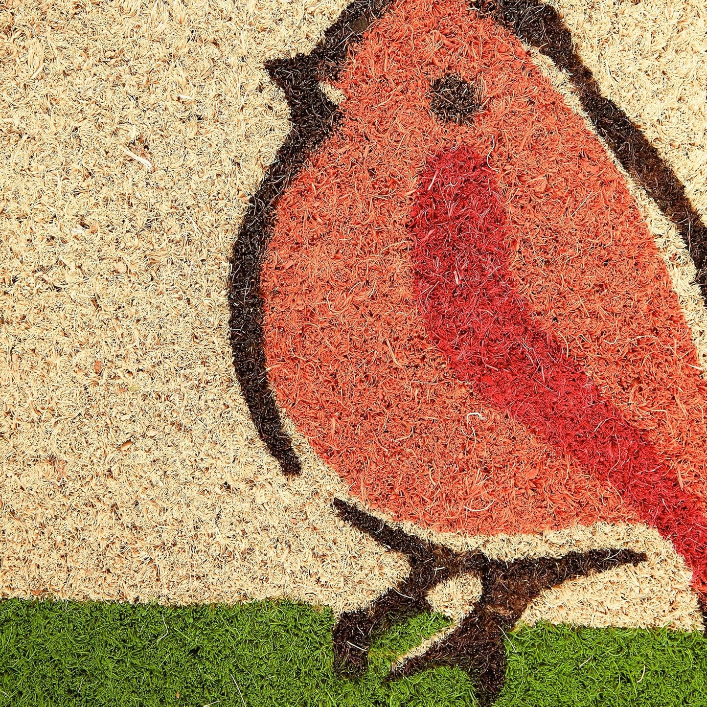 Natural Coir Doormat Outdoor Welcome Mat, 17X29, for the Birds