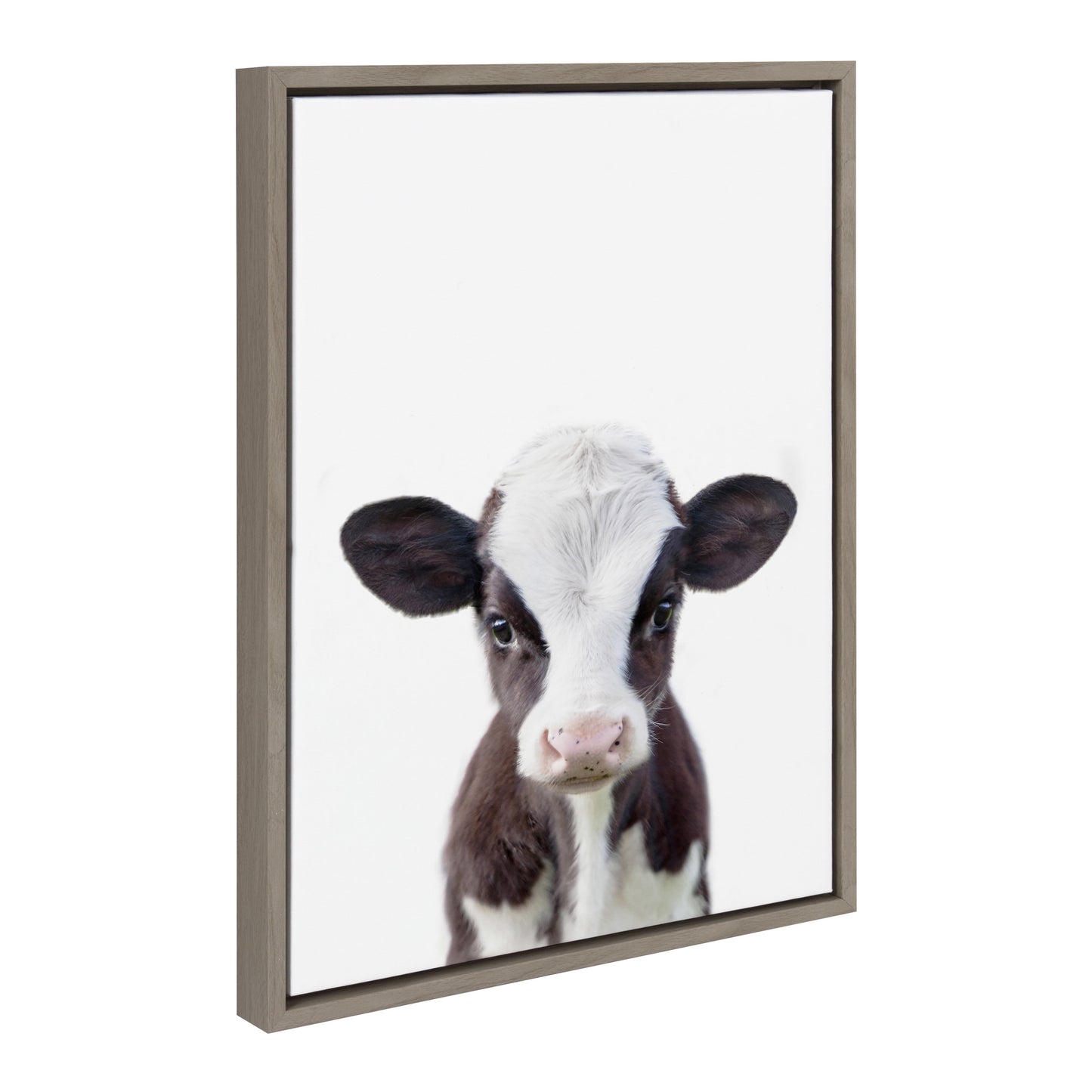 Sylvie Baby Cow Portrait Framed Canvas Wall Art by Amy Peterson, 18X24 Gray, Cute Baby Animal Home Decor for Living Room, Bedroom, or Nursery