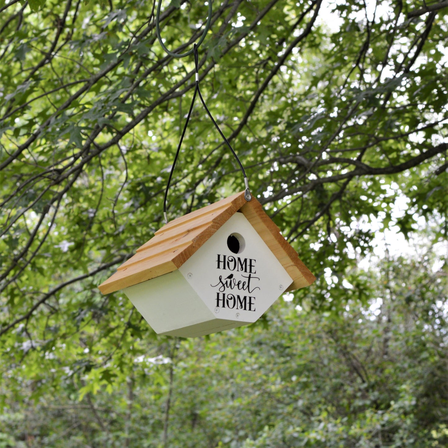 Farmhouse Wren House