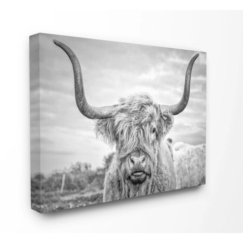 Black and White Highland Cow Photograph Canvas Wall Art by Joe Reynolds
