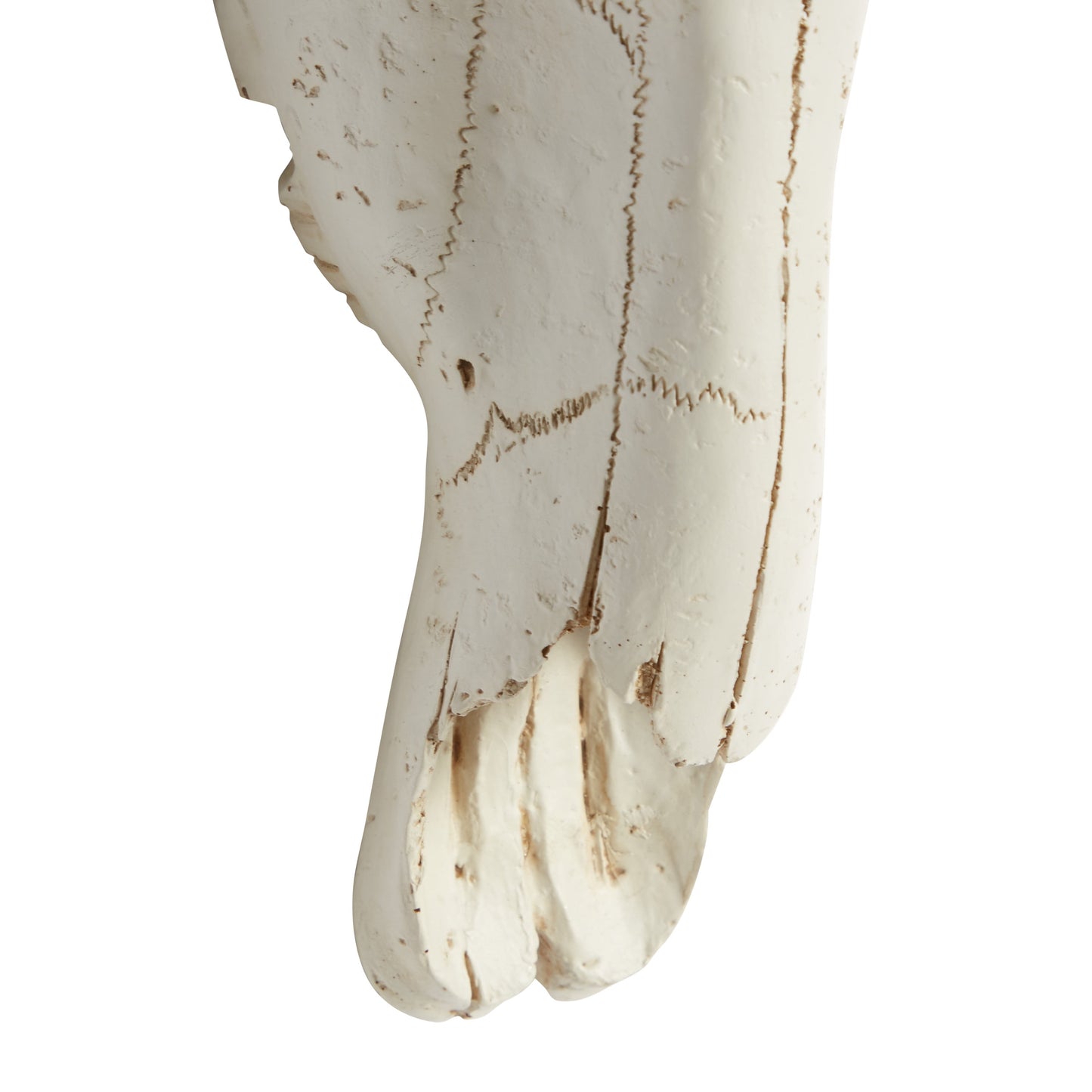 White Polystone Skull Cow Wall Decor