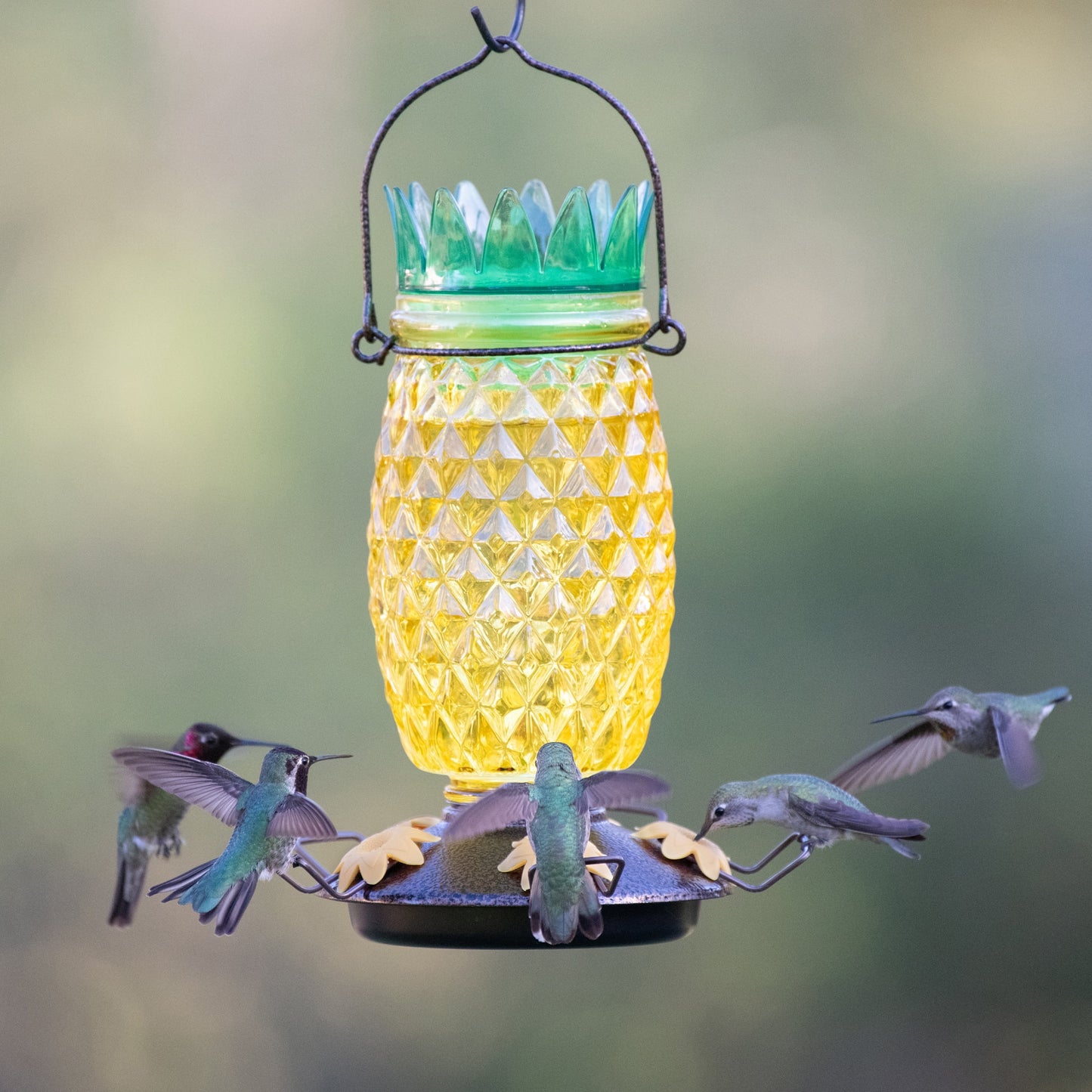 Yellow Pineapple Top-Fill Glass Hummingbird Feeder – 28 Oz