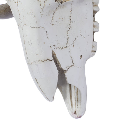 White Polystone Skull Sheep Wall Decor