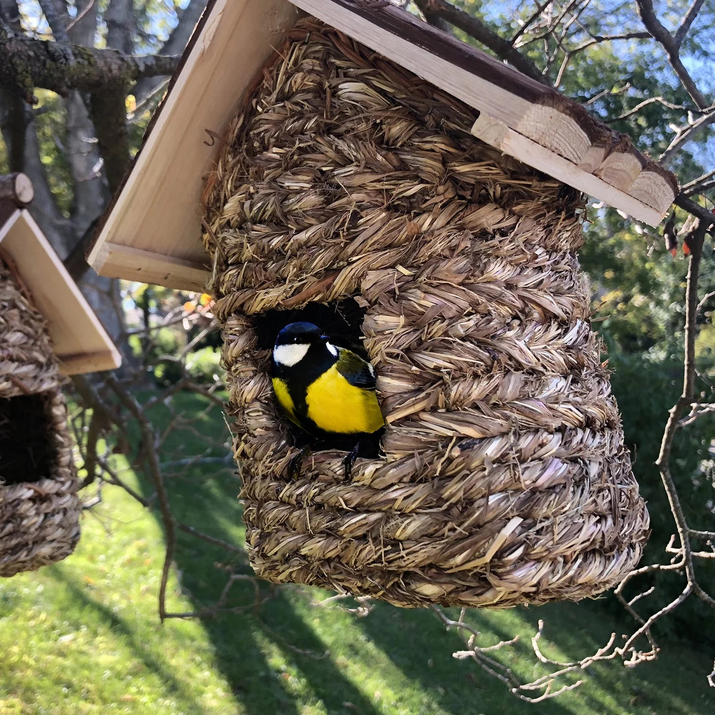 2 Pack of Songbird House Natural Bird Huts Outdoor, Grass Woven Bird Nest, Set of 2