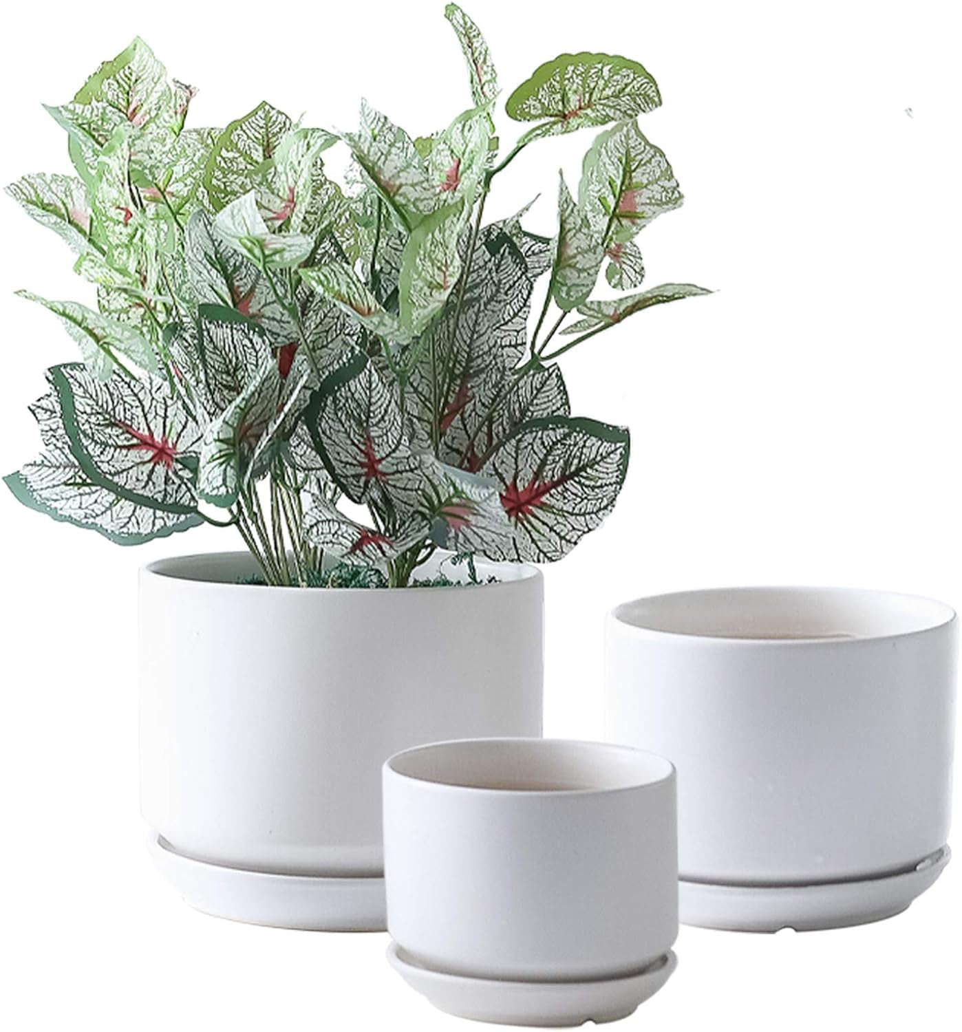 Succulent Plant Pots,6.7+5.3+4.1 in Glazed Ceramic Planters with Connected Saucers, round Modern Ceramic Flower Pots - Small to Large Sized Plant Pots for All House Plants(Matte White)