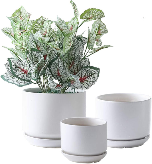 Succulent Plant Pots,6.7+5.3+4.1 in Glazed Ceramic Planters with Connected Saucers, round Modern Ceramic Flower Pots - Small to Large Sized Plant Pots for All House Plants(Matte White)