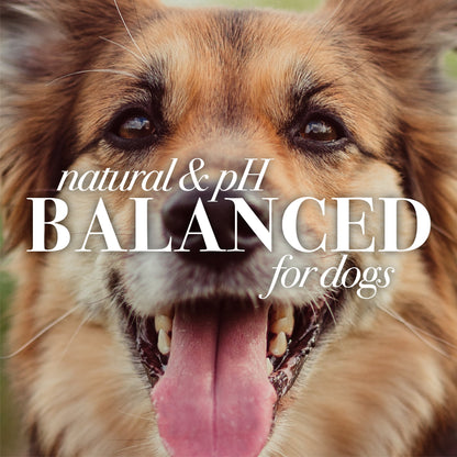 for Pets Natural Oatmeal Conditioner Colloidal Oat Flour & Honey for Dogs 10 Oz.