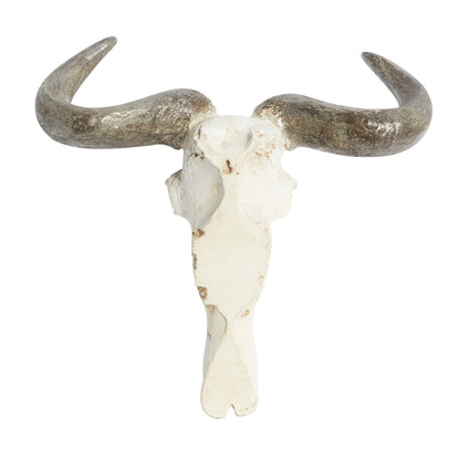 White Polystone Skull Cow Wall Decor