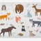Cabin Bath Mat, Animals in the Springtime Meadow Woodland Fauna Room, Plush Bathroom Decor Mat with Non Slip Backing, 30.2" X 20", Umber Multicolor White