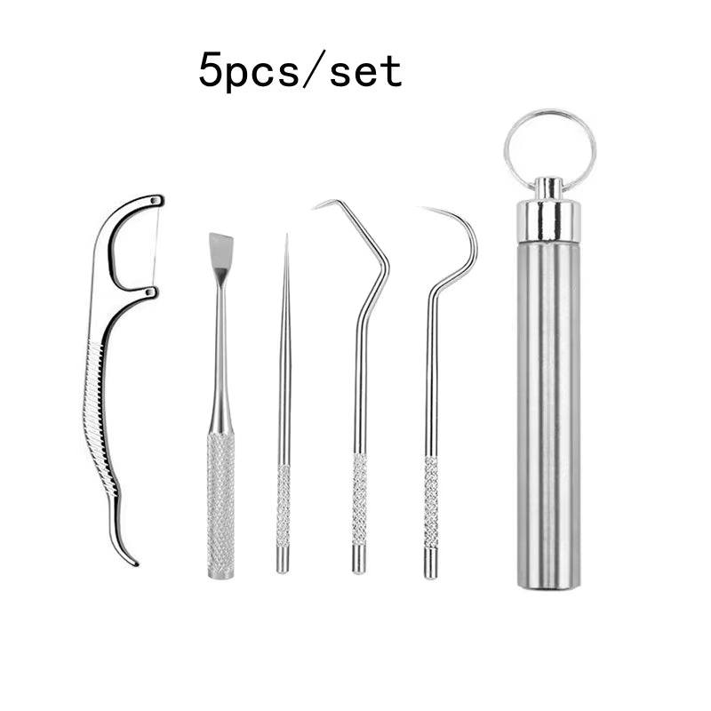 Stainless Steel Toothpick Set Tooth Flossing Reusable Toothpicks Portable Toothpick Floss Teeth Cleaner Oral Cleaning