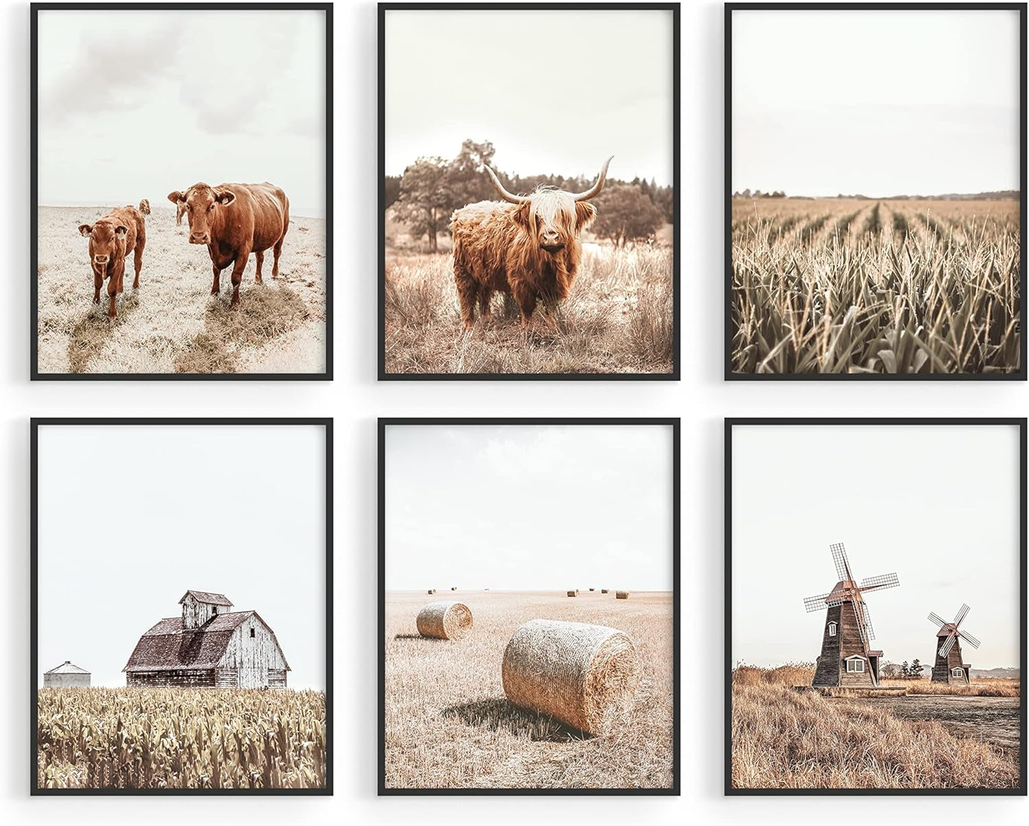 Highland Cow Art and Farmhouse Wall Decor Cow Wall Art and Farmhouse Pictures | Cow Decor | Cow Prints Wall Art | Cow Pictures Wall Décor