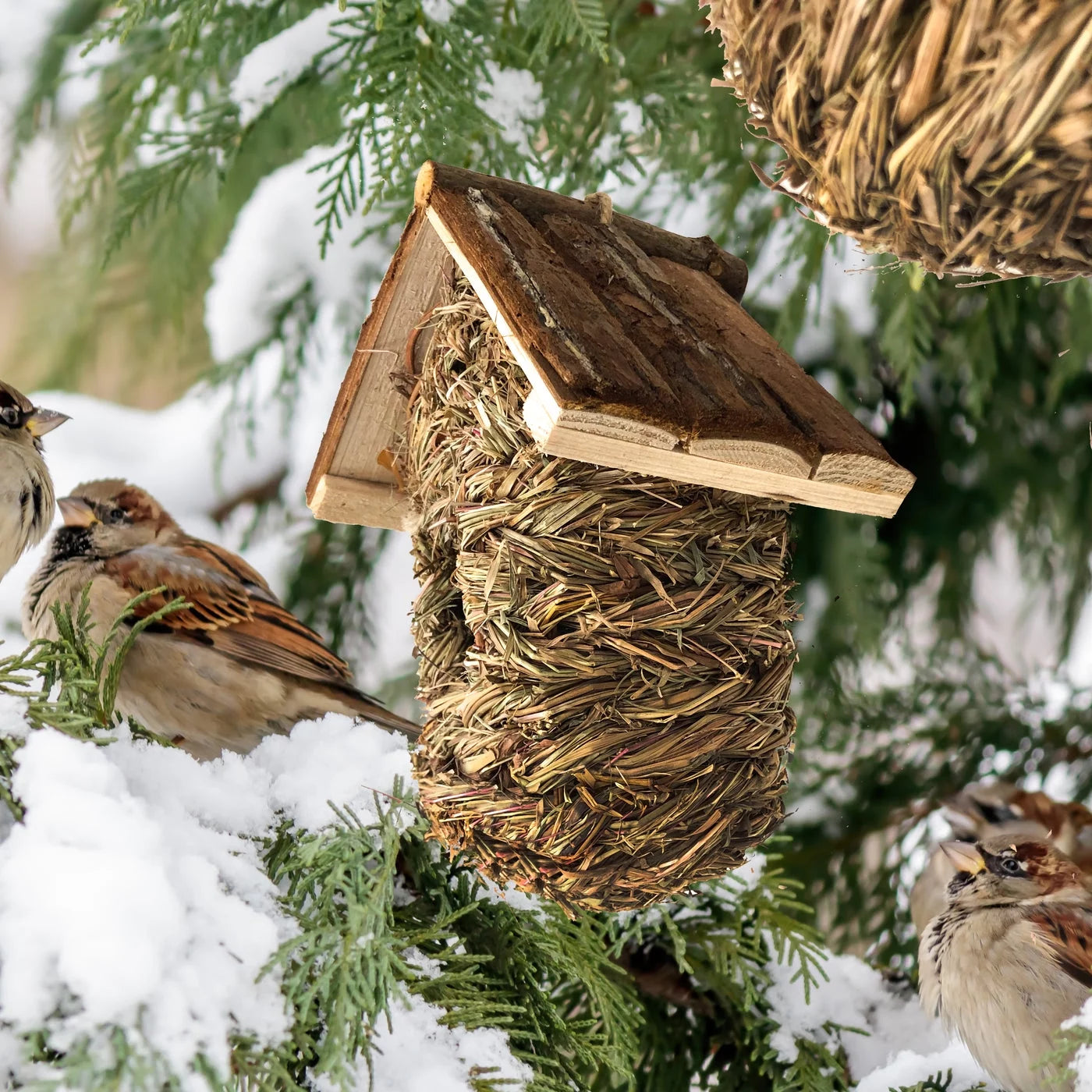 2 Pack of Songbird House Natural Bird Huts Outdoor, Grass Woven Bird Nest, Set of 2