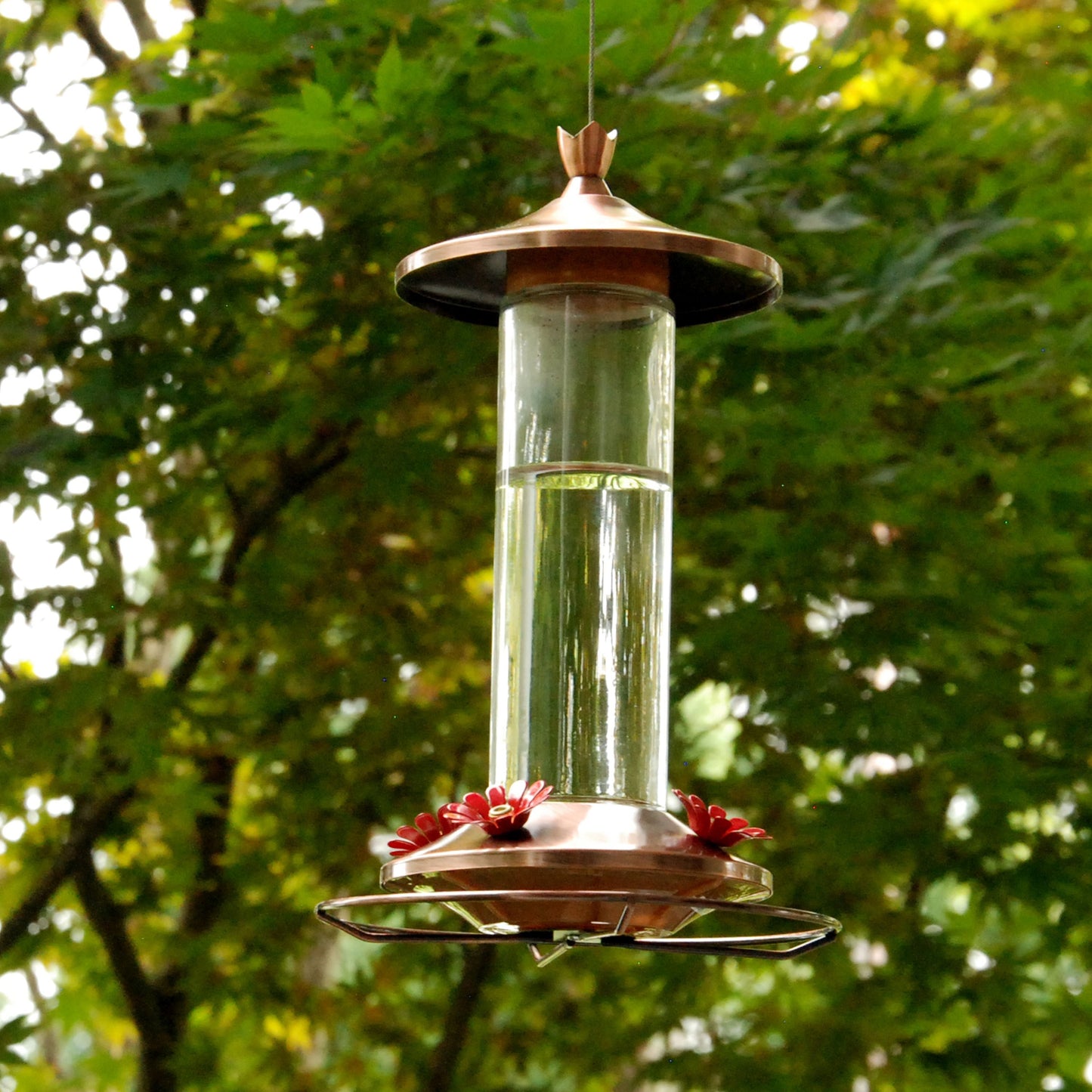 Elegant Copper Glass Hummingbird Feeder - 12 Oz