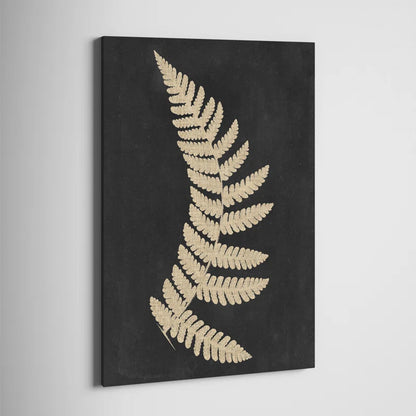 " Linen Fern IV "