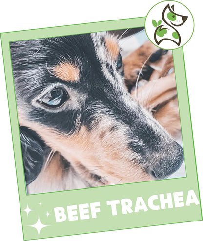 Beef Trachea Chews for Dogs 3" (12 Count) - Long Lasting Natural Crunchy Dog Chew Bones - Rawhide Free