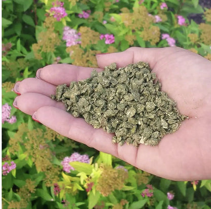 Organic & Natural Pure Gold All Purpose Plant Food, 2-2-2 Fertilizer, 3 Lb.