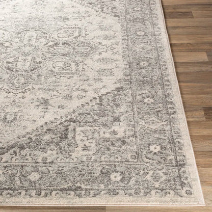 Benoit Oriental Rug