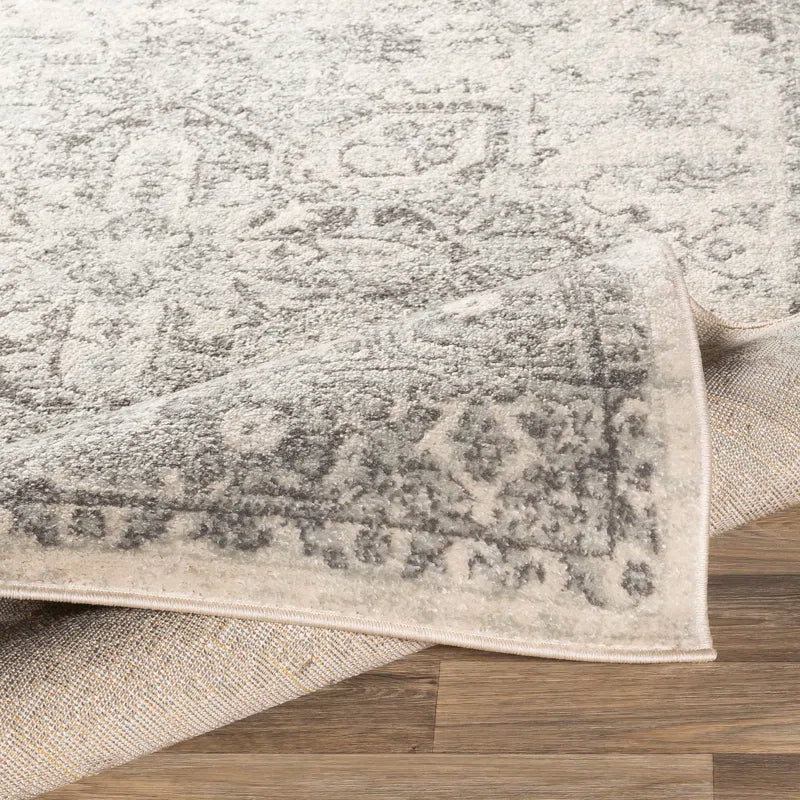 Benoit Oriental Rug