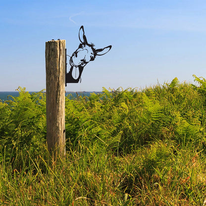 Metal the Donkey Garden Statues Black Donkey Silhouette Donkey Decorative Garden Stakes Garden Outdoor Statues Animal Stakes for Yard Decor and Lawn Ornaments Clearance