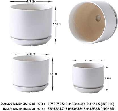 Succulent Plant Pots,6.7+5.3+4.1 in Glazed Ceramic Planters with Connected Saucers, round Modern Ceramic Flower Pots - Small to Large Sized Plant Pots for All House Plants(Matte White)
