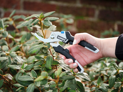 Garden Tool Starter Kit - Digging Shovel, Leaf Rake, Hedge Shears, 5/8" Bypass Hand Pruner