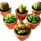 Cactus Tealight Candles with Tiny Terracotta Pots Holder, Succulent Baby Shower Favors Decorations, Delicate Decorative Candles Valentine'S Day Birthday House-Warming Party Spa Home Decorates (6)…