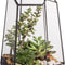 Geometric Glass Terrarium Planter for Succulent, Small Cacti, Black Irregular Opened Container Pot, Indoor Home Garden Office Tabletop Decor, 6.5" X 5.7" X 9.8" (No Plants, No Door)