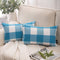 Buffalo Checker Plaid Farmhouse Summer Square Decorative Throw Pillow for Couch, 12" X 20", Blue/White, 2 Pack