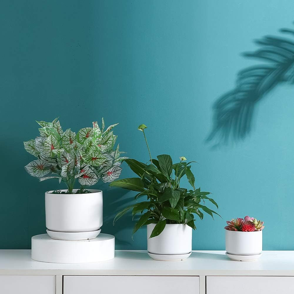 Succulent Plant Pots,6.7+5.3+4.1 in Glazed Ceramic Planters with Connected Saucers, round Modern Ceramic Flower Pots - Small to Large Sized Plant Pots for All House Plants(Matte White)