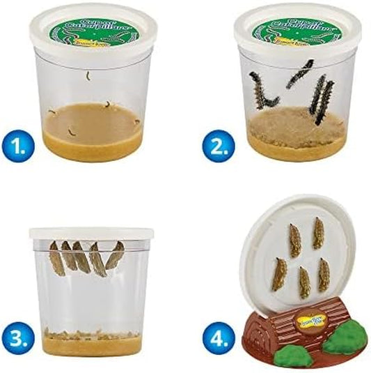 Butterfly Farm™ | Butterfly Kit with Live Cup of Caterpillars | 5 Caterpillars, Reusable Habitat, STEM Butterfly Journal & More