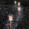 Solar Powered Lights (Set of 4)- LED Outdoor Stake Spotlight Fixture for Gardens, Pathways, and Patios by -Copper