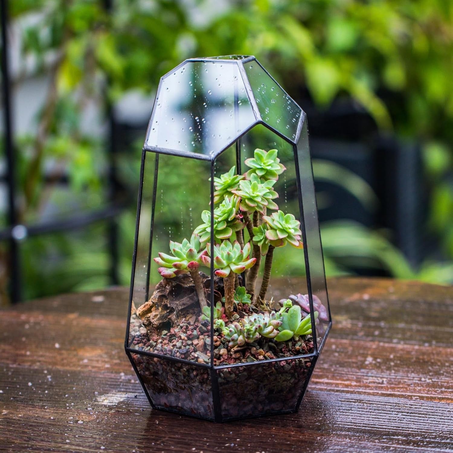 Geometric Glass Terrarium Planter for Succulent, Small Cacti, Black Irregular Opened Container Pot, Indoor Home Garden Office Tabletop Decor, 6.5" X 5.7" X 9.8" (No Plants, No Door)