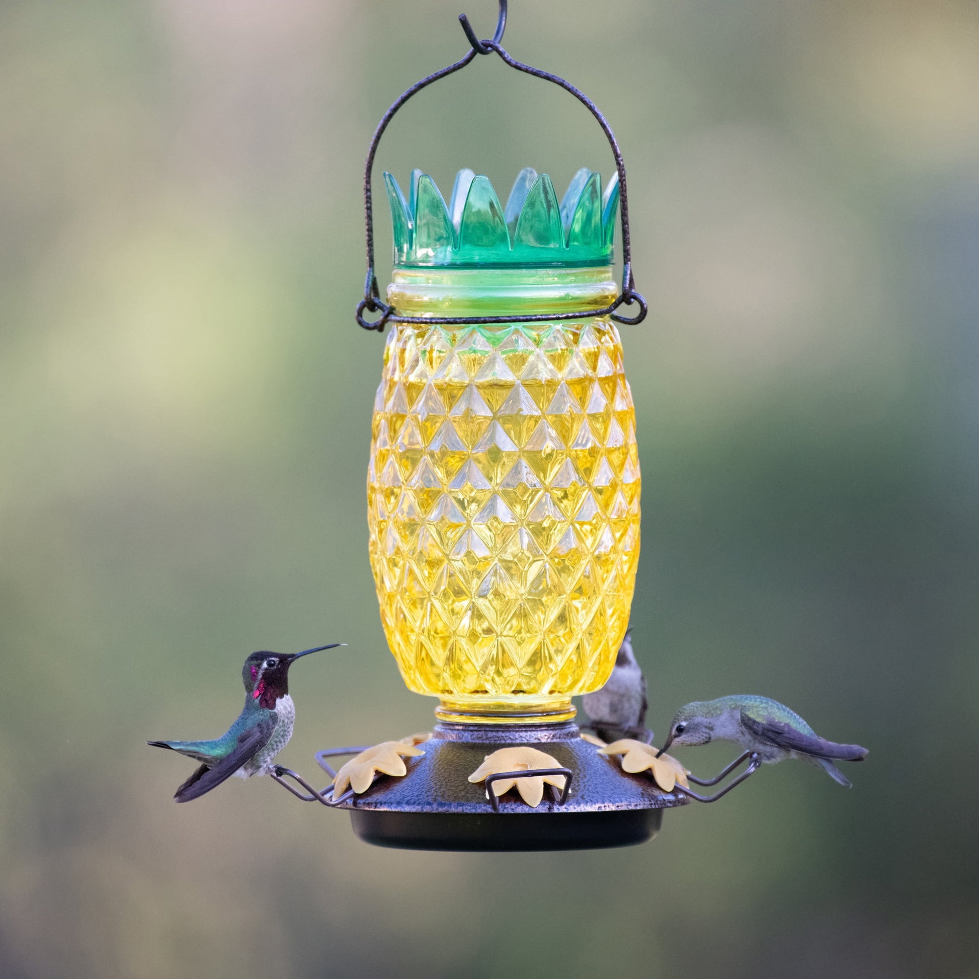 Yellow Pineapple Top-Fill Glass Hummingbird Feeder – 28 Oz
