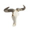 White Polystone Skull Cow Wall Decor