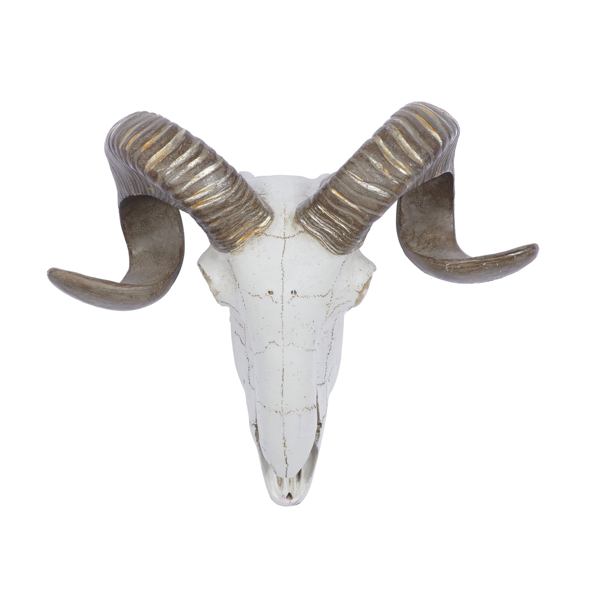 White Polystone Skull Sheep Wall Decor