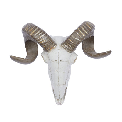 White Polystone Skull Sheep Wall Decor