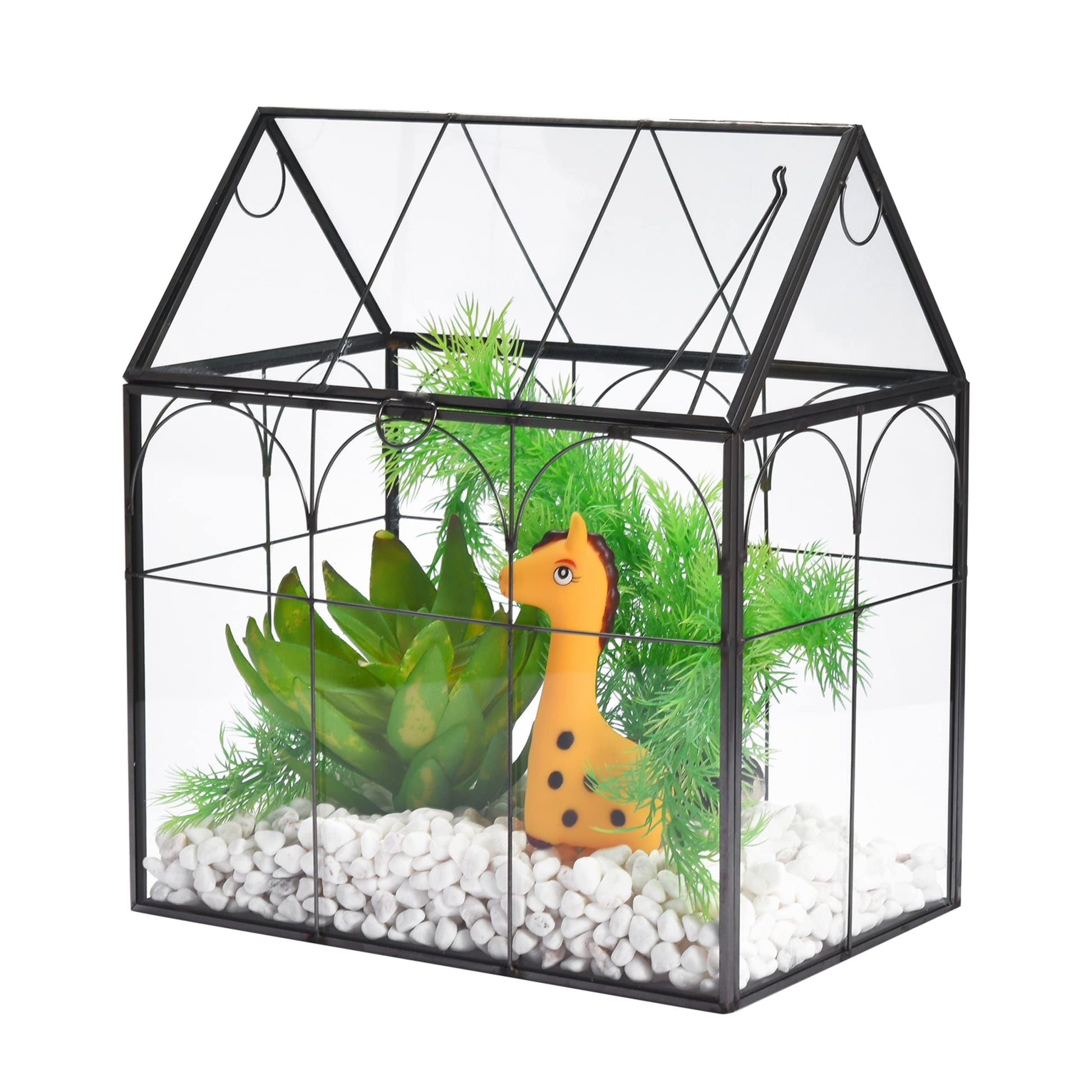 Glass Terrarium with Lid - 9X11X6-Inch Indoor Greenhouse Plant Terrarium Decor Planter Dome - Terrarium Kit Tabletop Greenhouse - Plant Accessories Ideal Gift for Nature Lovers