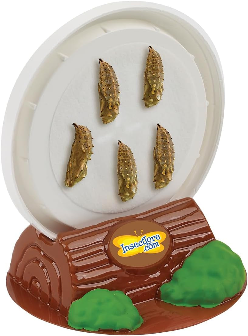 Butterfly Farm™ | Butterfly Kit with Live Cup of Caterpillars | 5 Caterpillars, Reusable Habitat, STEM Butterfly Journal & More