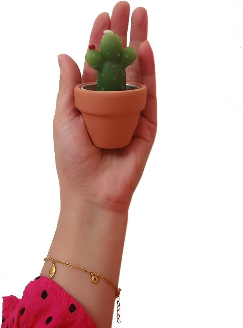 Cactus Tealight Candles with Tiny Terracotta Pots Holder, Succulent Baby Shower Favors Decorations, Delicate Decorative Candles Valentine'S Day Birthday House-Warming Party Spa Home Decorates (6)…
