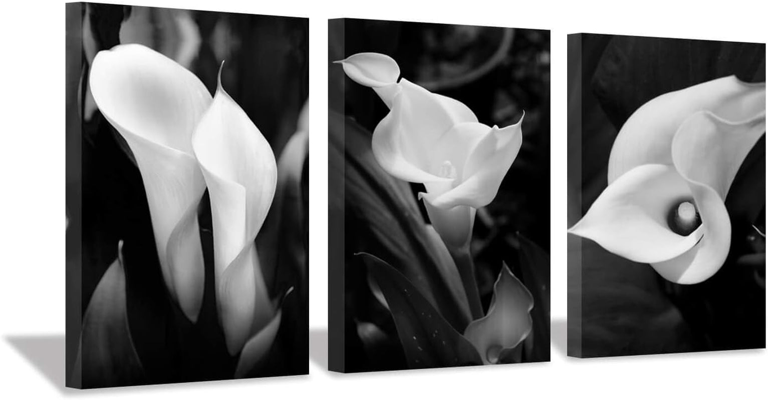 Floral Canvas Wall Art Print: Flower Bloom Picture Graphic Artwork Painting for Washrooms (12"X12"X3Pcs)