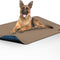 Washable Pee Pads for Dogs | Leakproof, Non-Slip Reusable Puppy Pads for Potty Training, Whelping, Waterproof Mat (48X60 Size, Pack of 1)