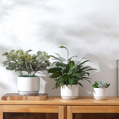 Succulent Plant Pots,6.7+5.3+4.1 in Glazed Ceramic Planters with Connected Saucers, round Modern Ceramic Flower Pots - Small to Large Sized Plant Pots for All House Plants(Matte White)