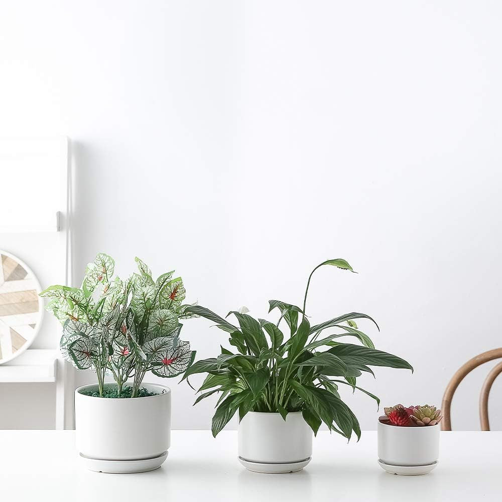 Succulent Plant Pots,6.7+5.3+4.1 in Glazed Ceramic Planters with Connected Saucers, round Modern Ceramic Flower Pots - Small to Large Sized Plant Pots for All House Plants(Matte White)