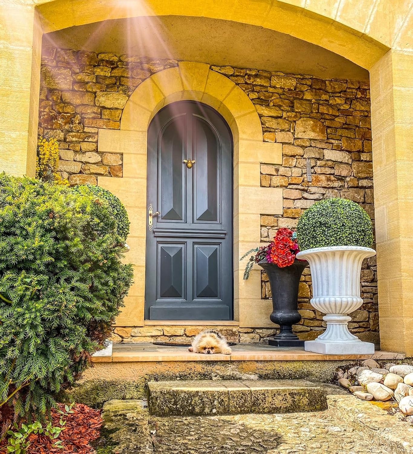 Bee Door Knocker for Front Door | Polished Solid  | Brass Knockers with Strike Plate | UPVC | Bumblebee Front Door Furniture with a Unique Design (Brass)