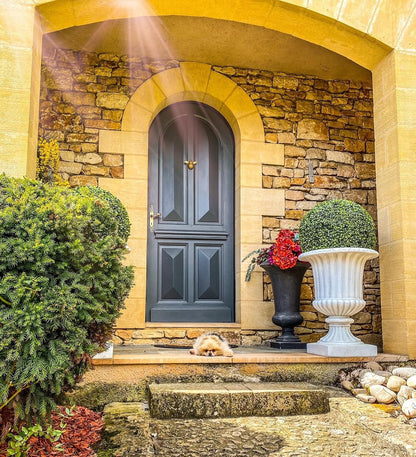 Bee Door Knocker for Front Door | Polished Solid  | Brass Knockers with Strike Plate | UPVC | Bumblebee Front Door Furniture with a Unique Design (Brass)