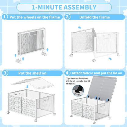 Garrie  Toy Box