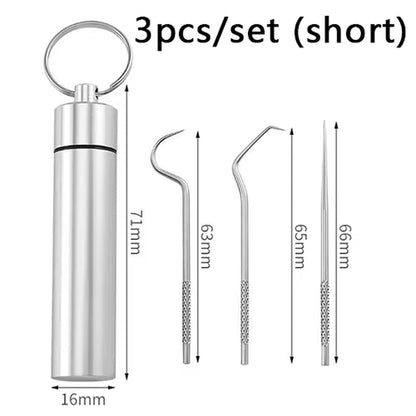 Stainless Steel Toothpick Set Tooth Flossing Reusable Toothpicks Portable Toothpick Floss Teeth Cleaner Oral Cleaning